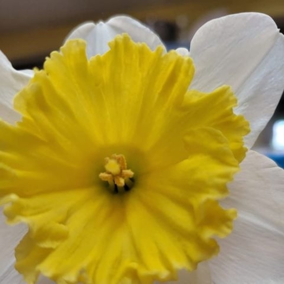 Meet your Posher, Jerrie - Picture 1 of 1